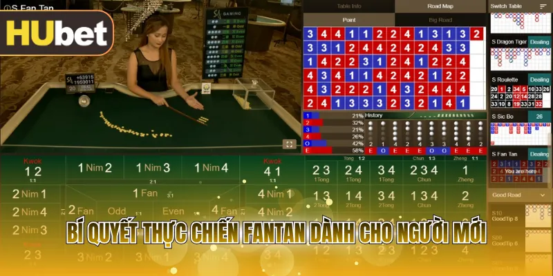 Bí quyết thực chiến Fantan dành cho người mới