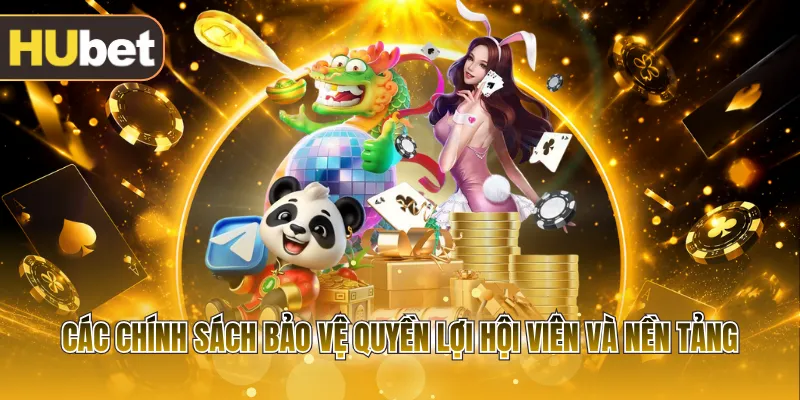 Các chính sách bảo vệ quyền lợi hội viên và nền tảng